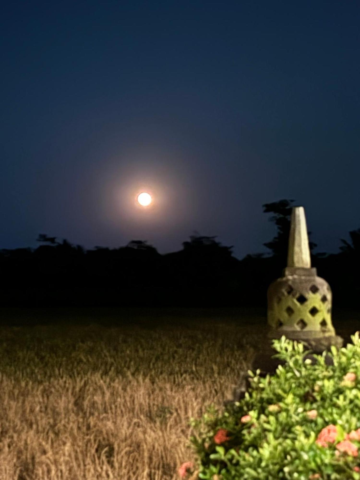 Rumah Dharma Magelang Exteriör bild